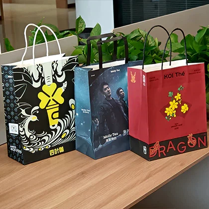 کیسه های حامل