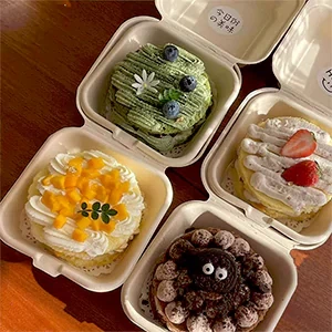 جعبه های کیک سازگار با محیط زیست